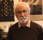 इरफान हबीब, इतिहासकार