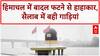 Cloudbursts, Flash Floods: Himachal में तबाही, Rajasthan में रिकॉर्ड बारिश, जानमाल का नुकसान