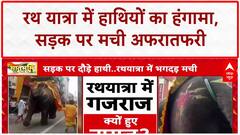 Rath Yatra: DJ की तेज आवाज से Ahmedabad में बेकाबू हुए हाथी, रथ यात्रा रोकी गई