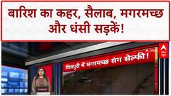 Weather Update: हिमाचल, UP, MP में आफत, कहीं तबाह हुई सड़कें कहीं सड़कों पर दिखा मगरमच्छ