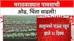 Marathwada Rain Deficit | मराठवाड्यात पावसाची ओढ, चिंता वाढली; Latur मध्ये 28 दिवस कोरडे!