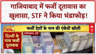 Fake Embassy Busted: Ghaziabad में फर्जी दूतावास का भंडाफोड़, 'एंबेसडर' चला रहा था ठगी का रैकेट