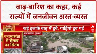 Flood Situation: MP में किसान ने बचाई बैलों की जान, Gujarat-Rajasthan में तबाही