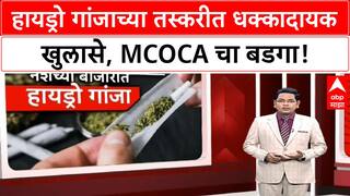 Hydro Ganja: राज्यात Hydro Ganja चा विळखा, चिचकर रॅकेट, नेमकं प्रकरण काय?