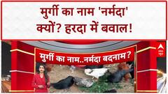 Narmada Chicken Controversy: Harda में मुर्गी के नाम पर बवाल, Hindu संगठन नाराज