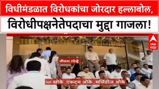 Leader of Opposition: विधीमंडळात विरोधकांचा हल्लाबोल, विरोधीपक्षनेतेपदाचा मुद्दा गाजला!