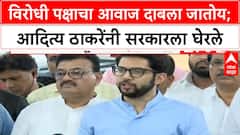 Aaditya Thackeray : विरोधी पक्षाचा आवाज दाबला जातोय; आदित्य ठाकरेंनी सरकारला घेरले