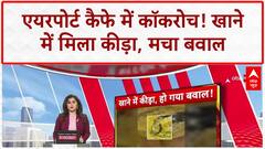 Food Safety: AIRPORT कैफे में COCKROACH, ग्राहकों का हंगामा, कार्रवाई की मांग!