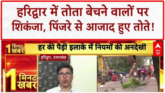 Illegal Parrot Trade: हरिद्वार में तोता बेचने वालों पर शिकंजा, पिंजरे से आजाद हुए तोते!