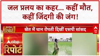 Monsoon Havoc: MP में Ayush की मौत, Chhattisgarh में बुजुर्ग फंसा, Rajasthan में सड़क पर Fish!