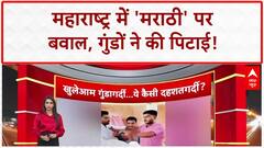 MNS Workers Assault: महाराष्ट्र में 'मराठी' पर बवाल, PM Modi से मिले लोग खुश