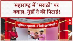 MNS Workers Assault: महाराष्ट्र में 'मराठी' पर बवाल, PM Modi से मिले लोग खुश