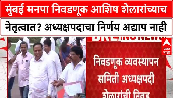 Mumbai BJP President | मुंबई अध्यक्षपदासाठी भाजपमध्ये रस्सीखेच, आशिष शेलार यांचं नाव पुढे