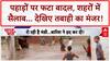 Cloudburst: Himachal से MP-Rajasthan तक आफत, सिस्टम ठप, लोग बेहाल! Weather Update