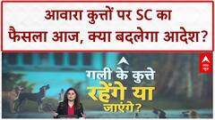 Stray Dogs Verdict: आवारा कुत्तों पर SC का बड़ा फैसला आज, Delhi NCR की निगाहें
