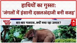 Human-Elephant Conflict: रुड़की और Bandipur में हाथियों का आतंक, 'इंसान जिम्मेदार'