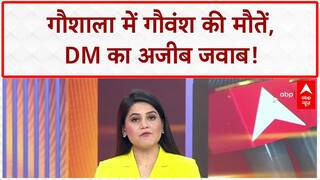 Cattle Crisis: 'गौ माता का श्राप ले डूबेगा..', SP पर CM Yogi ने साधा निशाना | UP