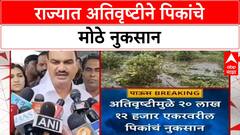 Maharashtra Crop Damage | राज्यात १९ जिल्ह्यांमध्ये २० लाख एकर पिकांचे नुकसान