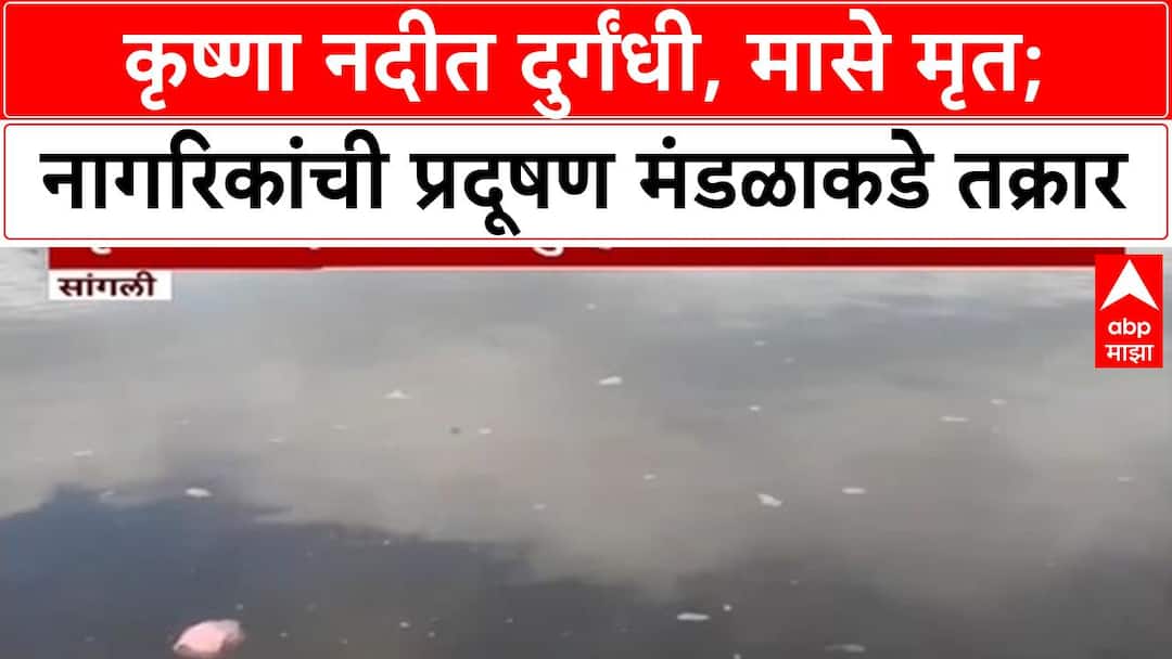 River Pollution | Krishna नदीत दुर्गंधीमुळे मासे मृत, Digras मध्ये ...
