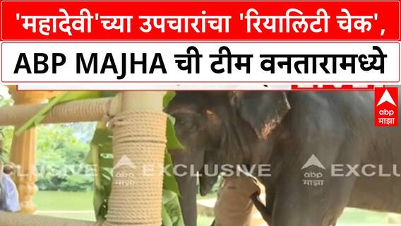 Elephant Madhuri | महादेवी हत्तीणीच्या उपचारांचा 'रियालिटी चेक', ABP Majha ची टीम वनतारामध्ये