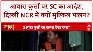 Stray Dogs: SC के फैसले पर समाज बंटा, Rahul Gandhi, Priyanka Chaturvedi ने उठाए सवाल!