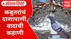 Mumbai Pigeon Ban: कबुतरांचं दाणापाणी, वादाची कहाणी Special Report