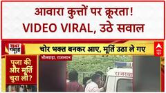 Stray Dog: गाजियाबाद में कुत्तों पर क्रूरता का Video Viral, SC के आदेश पर सवाल!