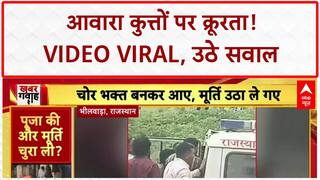 Stray Dog: गाजियाबाद में कुत्तों पर क्रूरता का Video Viral, SC के आदेश पर सवाल!