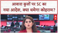 Stray Dogs Verdict: SC का बड़ा फैसला, Community Dogs सड़कों पर वापस!