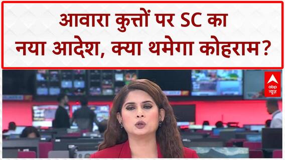 Stray Dogs Verdict: SC का बड़ा फैसला, Community Dogs सड़कों पर वापस!