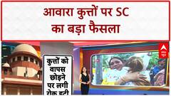 Stray Dogs: SC का बड़ा फैसला, आवारा कुत्तों को छोड़ने का आदेश