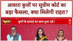 Stray Dogs: Aggressive Dogs को नहीं छोड़ा जाएगा वापस, Feeding पर भी नियम! SC