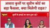 Stray Dogs: Aggressive Dogs को नहीं छोड़ा जाएगा वापस, Feeding पर भी नियम! SC