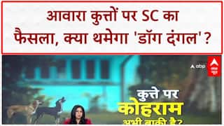 SC Verdict on Stray Dogs: सुप्रीम कोर्ट के फैसले के बाद भी जारी है कुत्तों पर बहस, हमले और विवाद
