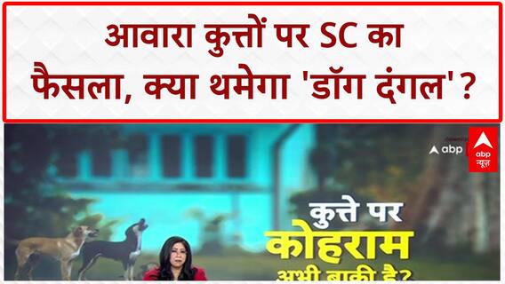 SC Verdict on Stray Dogs: सुप्रीम कोर्ट के फैसले के बाद भी जारी है कुत्तों पर बहस, हमले और विवाद