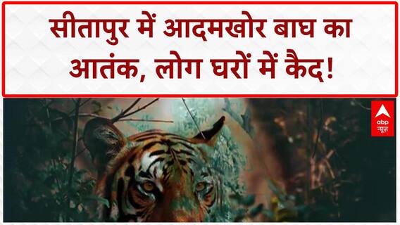 Sitapur Tiger Terror: आदमखोर बाघ का Live Attack? दहशत में 40 गांव!