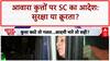 Stray Dogs: SC के फैसले पर Delhi NCR में घमासान, 8 हफ्ते बाद क्या होगा?