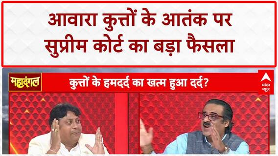 Dog Attack: रेबीज के बढ़ते मामलों पर सामजिक कार्यकर्ता का चौंकाने वाला खुलासा! |