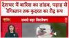 Heavy Rain: Delhi-NCR से Himachal तक कुदरत का कहर, पुल-घर बहे!