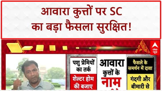 Stray Dogs: SC में सुनवाई पूरी, नगर निगम की विफलता पर कोर्ट सख्त, आदेश सुरक्षित!