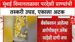 Wildlife Smuggling | मुंबई विमानतळावर परदेशी प्राण्यांची तस्करी उघड, एकाला अटक