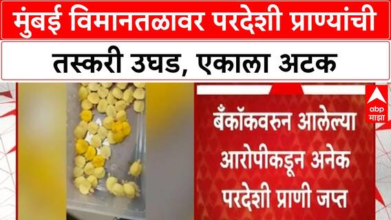 Wildlife Smuggling | मुंबई विमानतळावर परदेशी प्राण्यांची तस्करी उघड, एकाला अटक