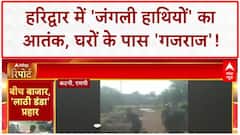 Wild Elephant Attack: हरिद्वार में 'जंगली हाथियों' का आतंक, घर में घुसा 'गजराज'!