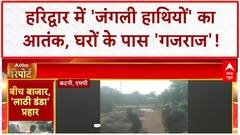 Wild Elephant Attack: हरिद्वार में 'जंगली हाथियों' का आतंक, घर में घुसा 'गजराज'!