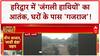 Wild Elephant Attack: हरिद्वार में 'जंगली हाथियों' का आतंक, घर में घुसा 'गजराज'!
