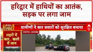 Elephant Intrusion: हरिद्वार में जंगली Elephants का 'खौफ', Traffic जाम