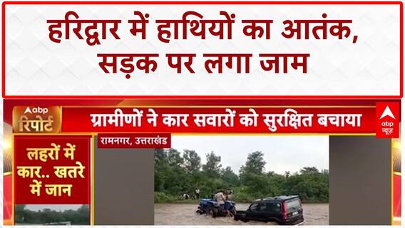 Elephant Intrusion: हरिद्वार में जंगली Elephants का 'खौफ', Traffic जाम