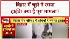 Bihar Breaking: बिहार में चूहों ने खाया 35 KM लंबा Highway, Project Manager का दावा!