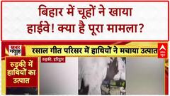 Bihar Breaking: बिहार में चूहों ने खाया 35 KM लंबा Highway, Project Manager का दावा!