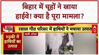 Bihar Breaking: बिहार में चूहों ने खाया 35 KM लंबा Highway, Project Manager का दावा!